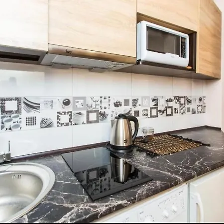 Apartment On Staroyevreyska 26 *